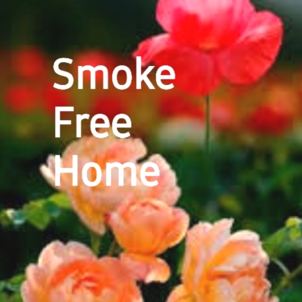 My home is a non smoking home